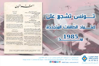 اصدار أوّل قانون للتشجيع على البحث وإنتاج وتسويق الطاقات المتجددة في تونس