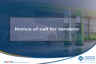 Notice of call for tenders -Development of the National Strategy for the Promotion of Electric Mobility