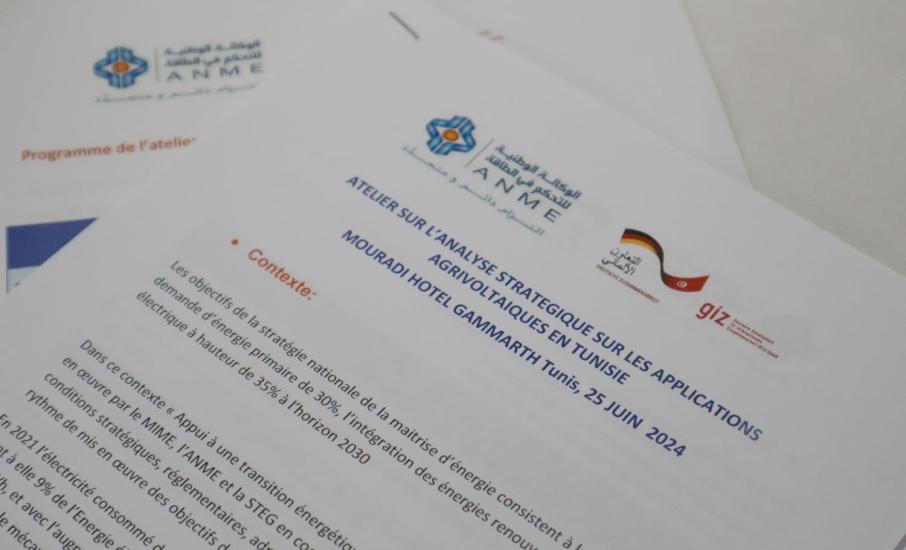 Atelier sur le rôle de l'énergie solaire photovoltaïque dans la promotion des projets dans le secteur agricole en Tunisie