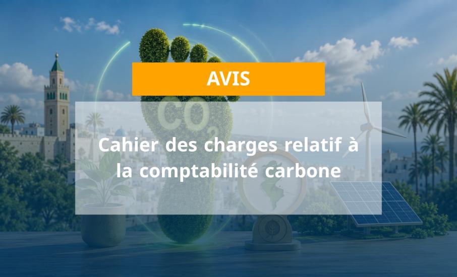 avis anme