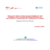 EMPLOI ET EMPLOYABILITE DES FEMMES ET DES HOMMES DANS LES ENTREPRISES PRIVEES DU SECTEUR DE LA MAITRISE DE L_ENERGIE EN TUNISIE