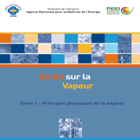 GUIDE SUR LA VAPEUR  principes physiques de la vapeur