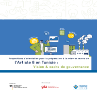 orientation pour la préparation à la mise en oeuvre de l_Article 6 en Tunisie - vision et cadre de gouvernance