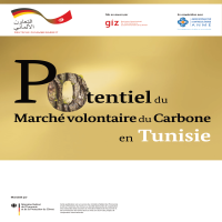 potentiel-du-larche-carbone-en-tunisie-01.png
